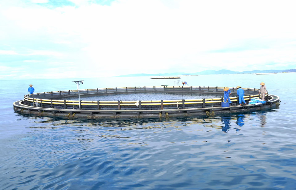 重力式圆形网箱